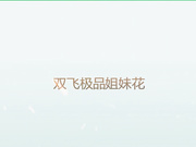 广东内裤哥珠海高级会所选秀双飞姐妹花高清无水印完整版
